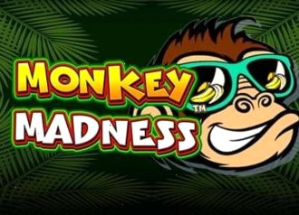 Monkey Madness слот Pragmatic